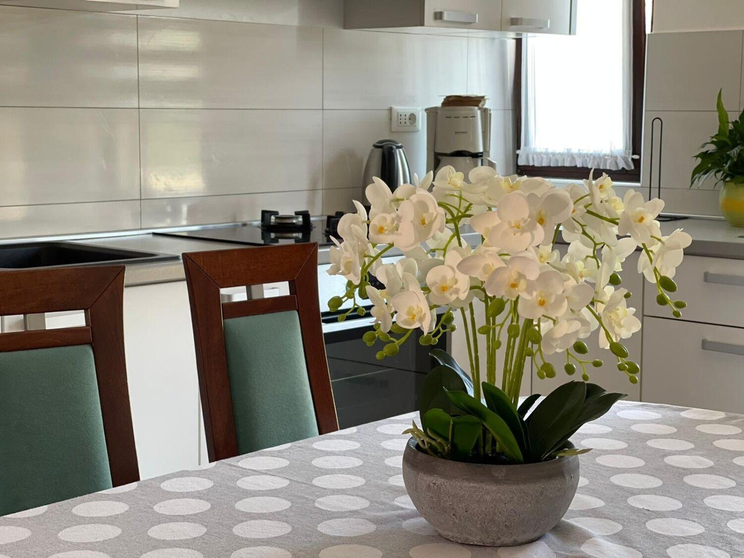 Apartment Bilja โรกอซนิซา ภายนอก รูปภาพ